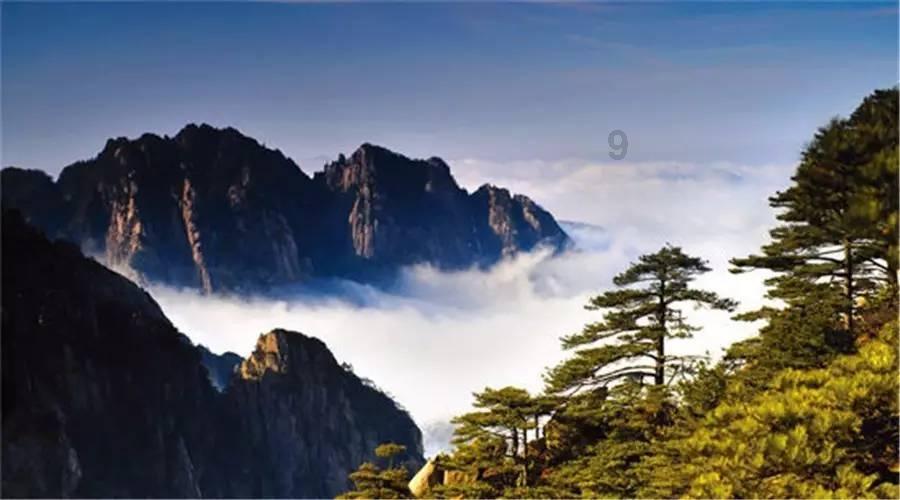 蝴蝶消消乐