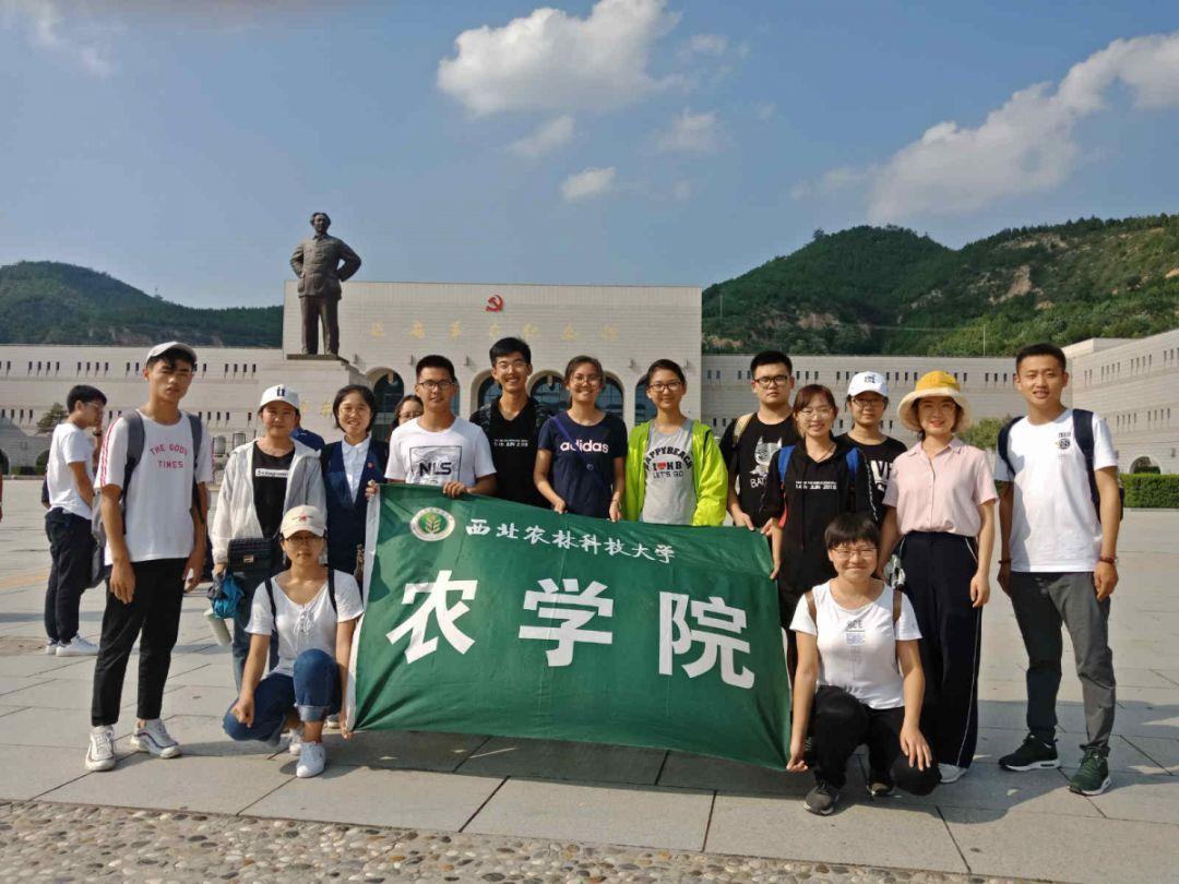 自由勇士历险记3